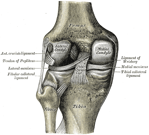 Exercises for Damaged Knee Cartilage